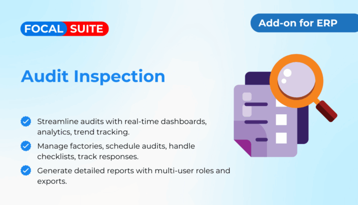 Audit Inspection